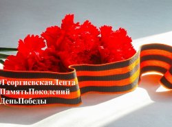 img (2)